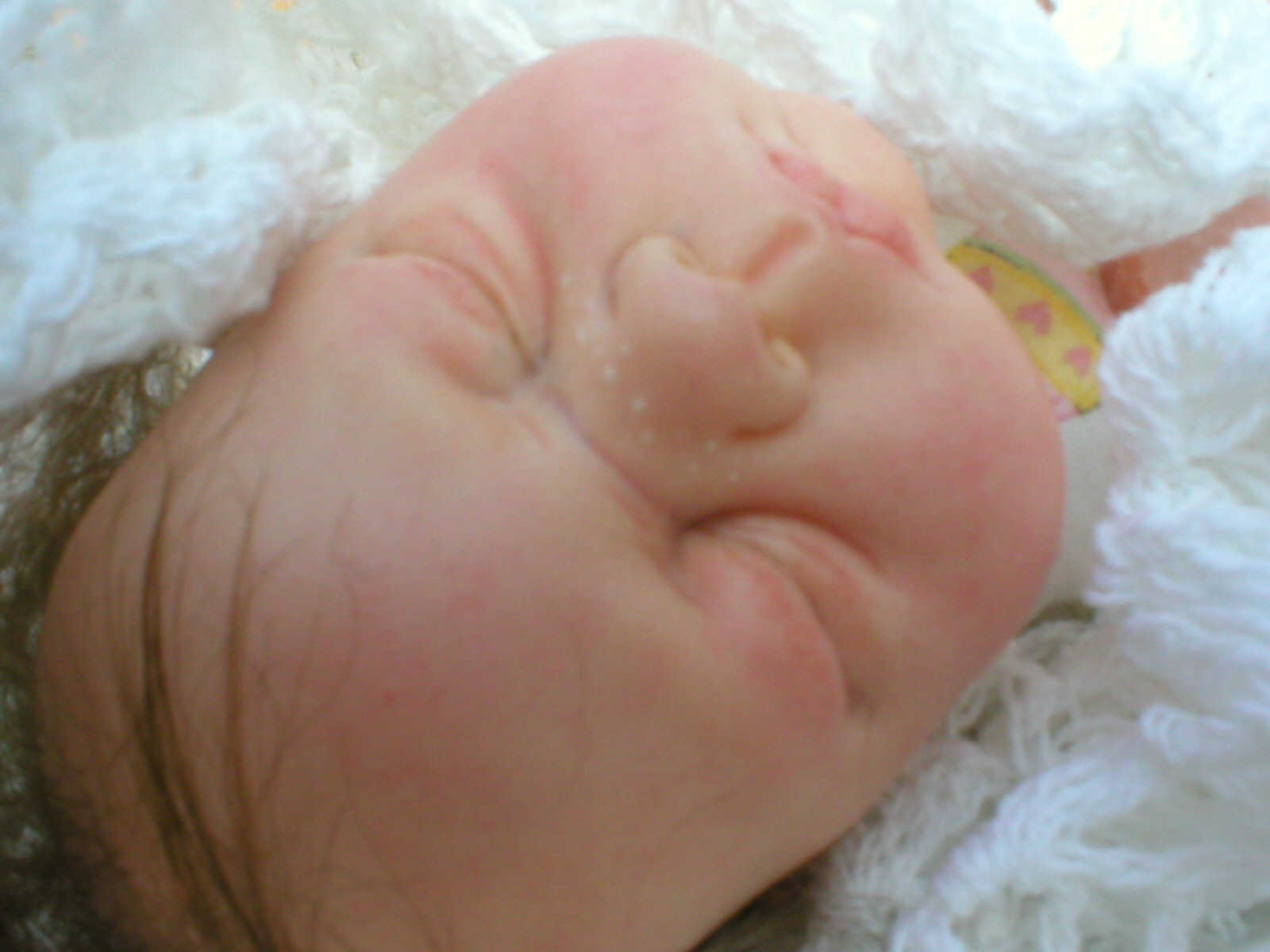 A "Becky's Bouncing Babies" original
